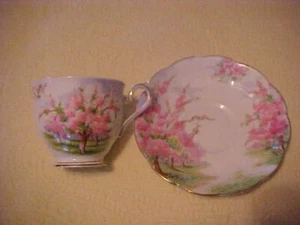 BLOSSOM TIME by ROYAL ALBERT ENGLAND Bone China CUP AND SAUCER - Picture 1 of 4