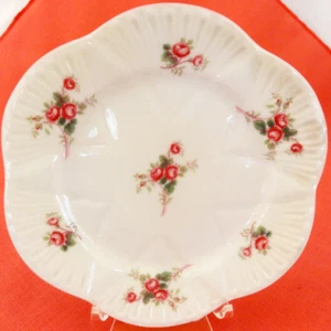ROSE SPRAY di Shelley Bread & Butter Plate 6,2" NUOVO MAI USATO made in England - Foto 1 di 2
