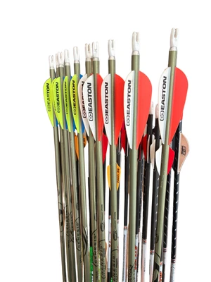 Easton Genesis Arrows (10 Pack) 30" Long | Target Arrows | Aluminum - Image 1 of 3