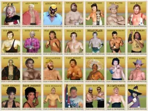 2021 LJACards "Stars of the Midsouth" History of Wrestling Trading Cards ACEO - Picture 1 of 119