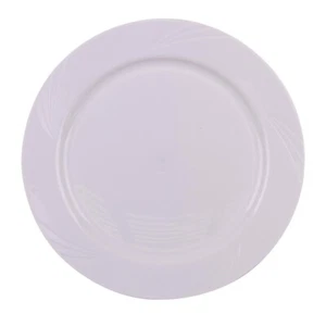 10 ASSIETTES RÉUTILISABLES ET INCASSABLES 26CM BLANC - Photo 1/1