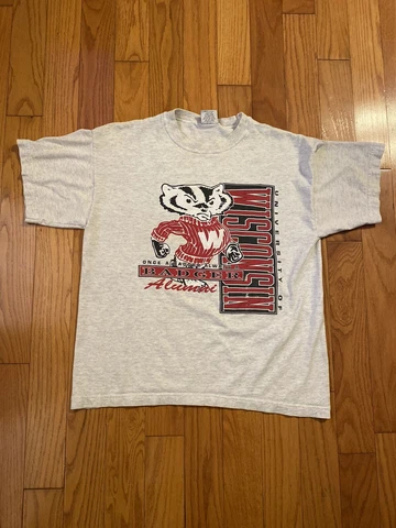 Vintage Wisconsin Badgers Alumni Shirt Size L Made In USA Clean Gray Cover