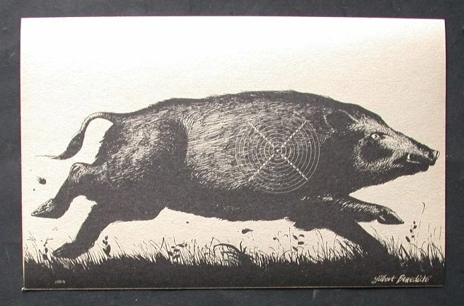 CHASSE carton CIBLE TIR SANGLIER wild HOG Boar Pig TARGET  signé G. BENEDICTO - Imagen 1 de 1