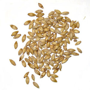 10 lbs 2 Row Brewer's Malted Barley - Crushed or Whole