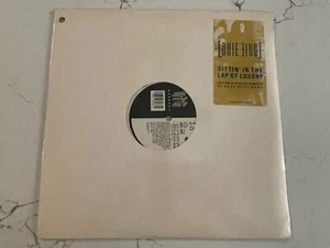 Louie Louie - Sittin' In The Lap Of Luxury - New 12" Vinyl - Q12369A - Imagen 1 de 3