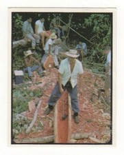 Sanitarium New Zealand Cereal Card. Island of Niue making a canoe