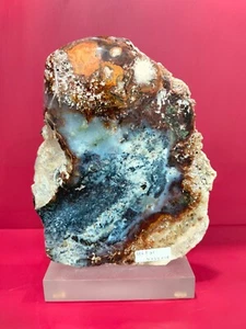 Rare mix color light white brown petrified wood polished 1165gr (4x14x18cm) - Picture 1 of 4