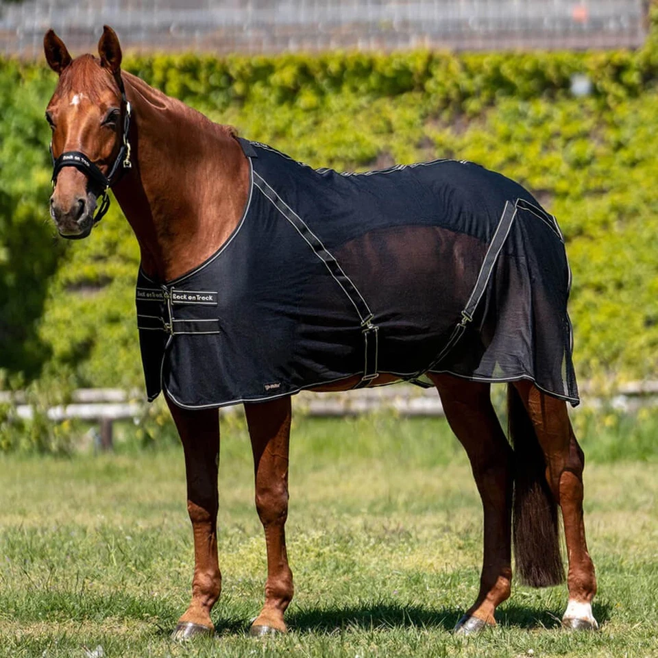 Back on Track Cooler-Decke Sienna - Bild 1 von 1