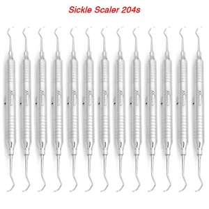 Sickle Scaler 204S Dental Hand Instruments Pro Periodontal Hygiene Pick Tool New - Picture 1 of 9