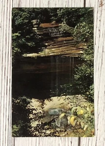Clifty Creek and Falls; Clifty Falls State Park; Madison, Indiana Postcard - Picture 1 of 4