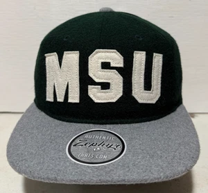 Michigan State Spartans Zephyr Snapback Hat Block Letters Green/Gray 100% Wool - Picture 1 of 7