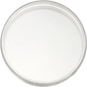 Fitted Plastic Capsule for 5oz Rounds/Medallions - SilverTowne Supply - Picture 1 of 3