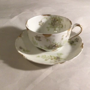 Haviland Limoges Schleiger 52H cup and saucer set - Picture 1 of 3