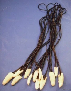 One FLORIDA ALLIGATOR GATOR TEETH NECKLACE genuine real tooth  24" - Picture 1 of 2