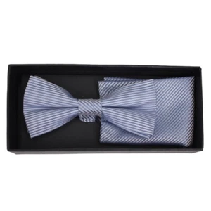 J.S. Fashion Herren Fliege Schleife Einstecktuch Set blau gestreift 999 23768 FT - Picture 1 of 2