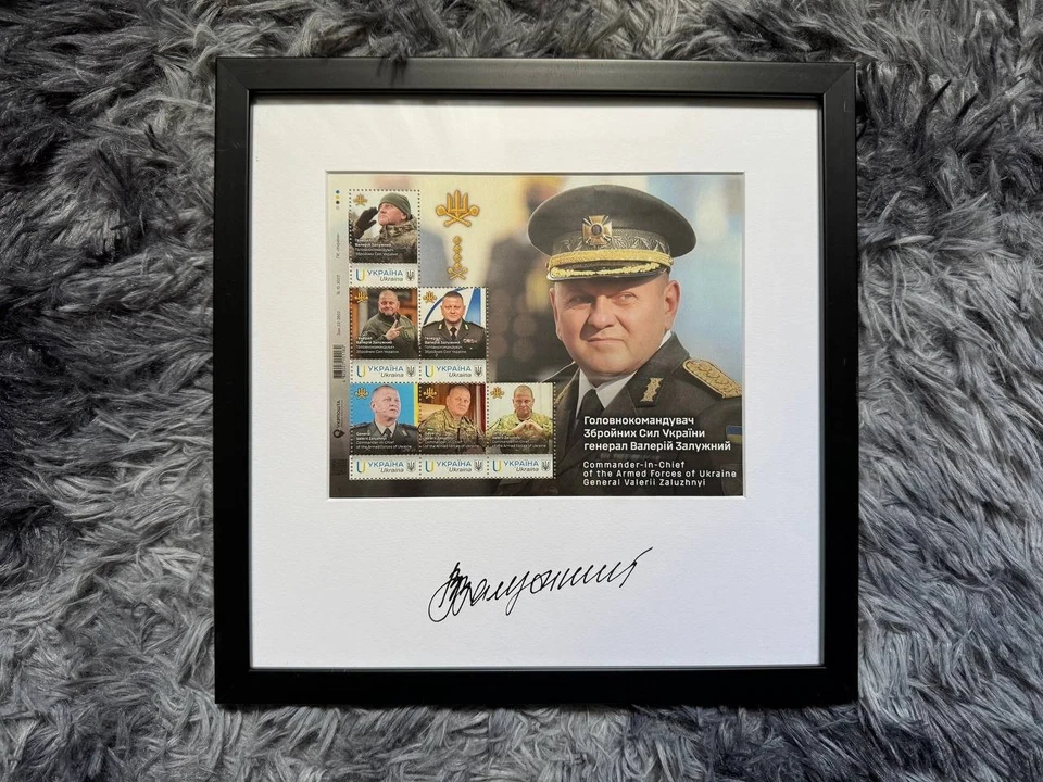 Frame with postage stamps «Valery Fedorovich Zaluzhny» RARE. War Ukraine 2023 - Image 1 of 4
