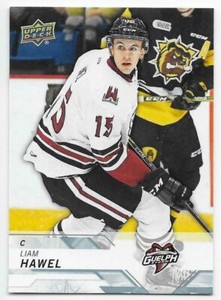 18/19 2018 UD UPPER DECK CHL HOCKEY BASE CARDS (#151-300) U-Pick From List