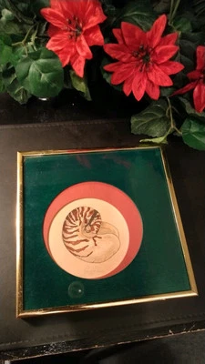 A Beautiful 1988 Nautilus Seashell Original Watercolor By J.R.L - Image 1 of 4