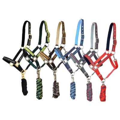 Halfterset  Starlet inkl. Anbindestrick mit Panikhaken Shetty Pony Cob Full 3T - Bild 1 von 4