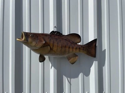 22" Smallmouth Bass Two Sided Fish Mount Replica - Quick Production - Image 1 of 3