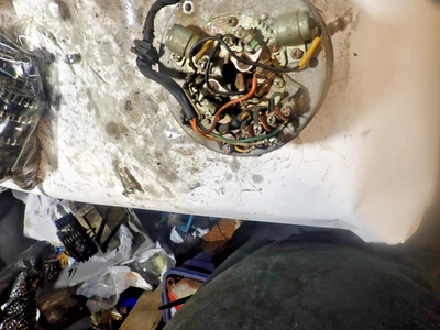 Yamaha AS2 125 Twin 1970? Placa de estator/generador/alternador/puntos Foto 1 de 4