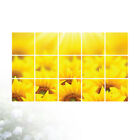 Stylish Kitchen Sunflower Wallpaper - Oil-Proof & Easy Installation