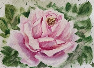 Original Artwork Modern Painting Flowers PINK ROSE Floral Arts Home Wall Gift A6 - Picture 1 of 9