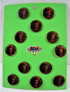 Vintage Leadsänger Musik Rockband Konzert Pin Display 12 auf Karte alter Lagerbestand - Bild 1 von 2