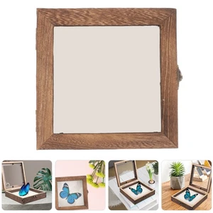 Small Display Case Wooden Storage Box Specimen Entomology Containers Plant - Picture 1 of 12