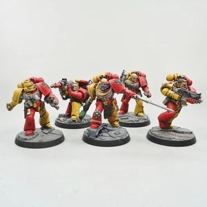 Howling Griffons 5 Man Squad Painted - Warhammer 40k Army Space Marines - Picture 1 of 4