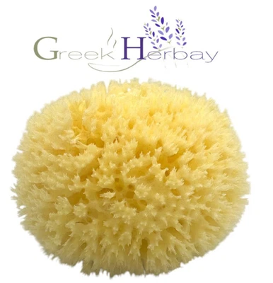 Натуральная высушенная греческая морская губка (Kapadiko) 5,0–5,50 дюйма (12–14 см) калимнос. - Изображение 1 из 2