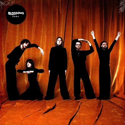 Blossoms - Gary (Vinyl LP - 2024 - Original) - Bild 1 von 2