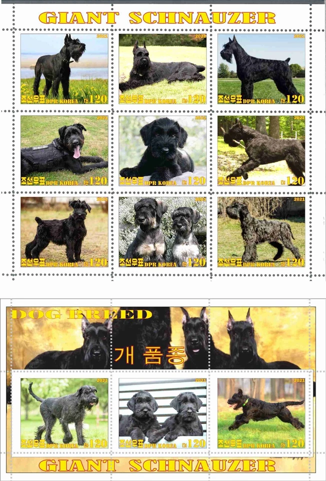 Stamp sheet+block Giant Schauzer 2021 Korea issue Dogs - Image 1 of 1