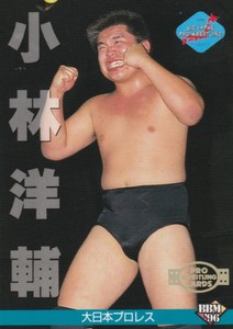 1996 YOSUKE TANIGUCHI  #214  BBM Pro Wrestling card  Big Japan Pro-wrestling