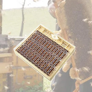 Bienenzucht-Aufzuchtbox, einfach zu bedienendes Imkerei-Set für Imker - Bild 1 von 11