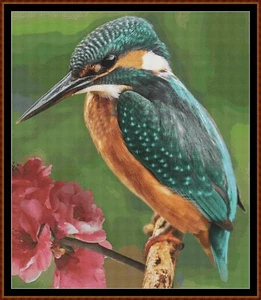 The Kingfisher ~~ gezähltes Kreuzstichmuster - Bild 1 von 5