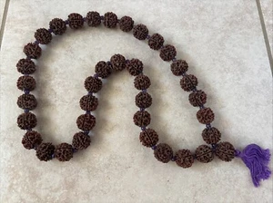 Large Sized Rudraksha Necklace With Purple Spacer Beads - Picture 1 of 7