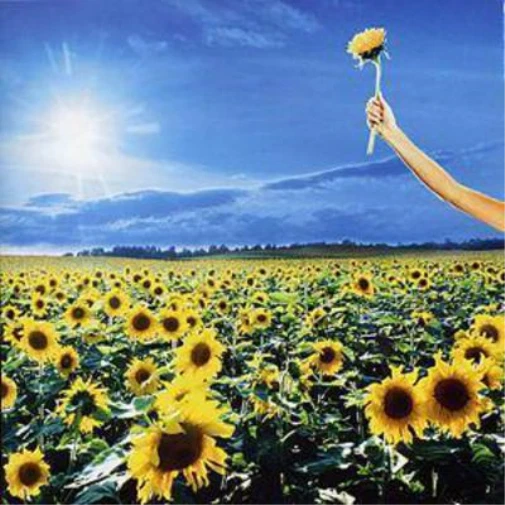 Thank You: The Best Of (CD) Album (Importación USA) - Imagen 1 de 1