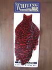 Fly Tying Whiting American Hen Cape Grizzly dyed Red #E