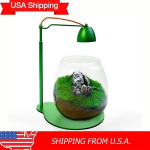 USA Shipping Home Office Tabletop Deco with Moss Micro Landscape Terrarium Set - Picture 1 of 8