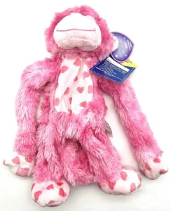 Build-A-Bear LE Hugs Fur You Monkey 2009 Pink Plush Hearts Unstuffed NWT - Picture 1 of 12