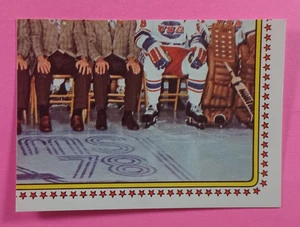 Tarjeta de hockey #205 pegatinas de hockey Panini del equipo de Estados Unidos 1979 - Imagen 1 de 2