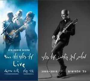 Ilay Botner Lyrics, Melody, Guitars All the Hits 2005-2015 - Picture 1 of 1