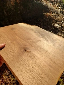 Schwarznuss Schritt Platte 3/4" x 15,5" x 17,5" - Bild 1 von 12