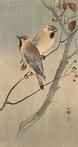 Two Birds in Tree 22x30 Japanese Art Print by Koson Asian Art Japan  - Picture 1 of 1