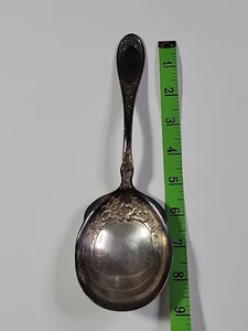 Vintage 1835 R. Wallace Blossom A1 Silver Plate 9" Serving Spoon - Picture 1 of 7