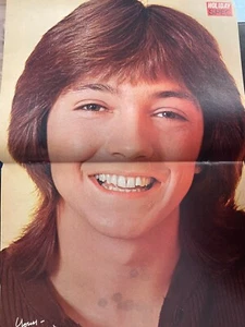 David Cassidy, zweiseitiges Vintage Centerfold Poster, AA - Bild 1 von 1