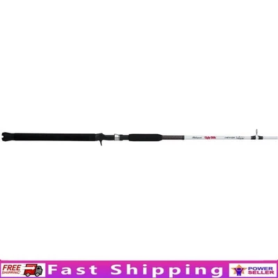 Caña de pescar bagre de 8 pies mediana pesada 15-30 lb duradera punta transparente construcción nueva Foto 1 de 4