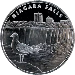 1 OZ TROY 0,999 LINGOTES DE PLATA FINA NIAGARA CAÍDAS REDONDAS BU - Imagen 1 de 3