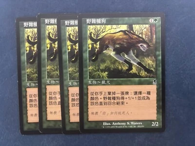 MTG 4X CHINESE ODYSSEY WILD MONGREL NM MAGIC THE GATHERING CREATURE COMMON GREEN - Image 1 of 4